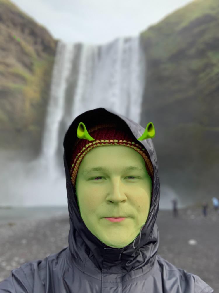 A Shrekified Jesse